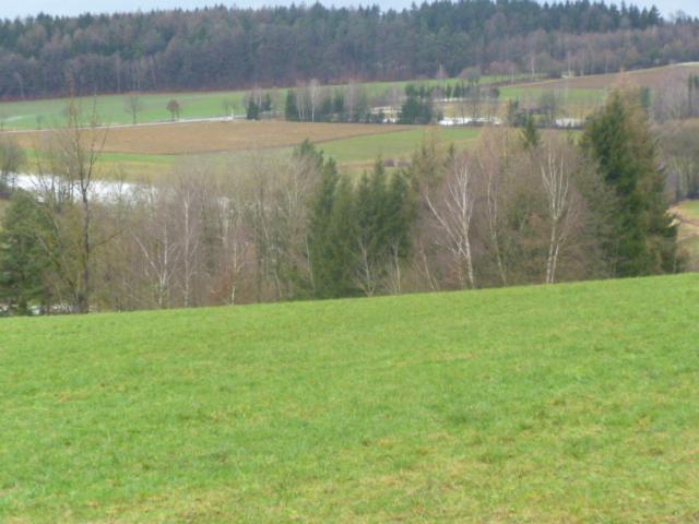 Blockhaus Mit Wlan Bayern Villa Stamsried Luaran gambar
